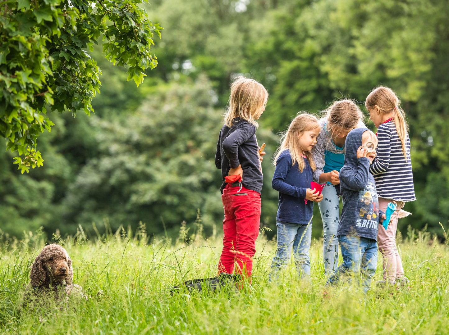 Auf einer Wiese untersuchen Kinder bei einem Kindergeburtstag den Inhalt der Entdecker-Säckchen.