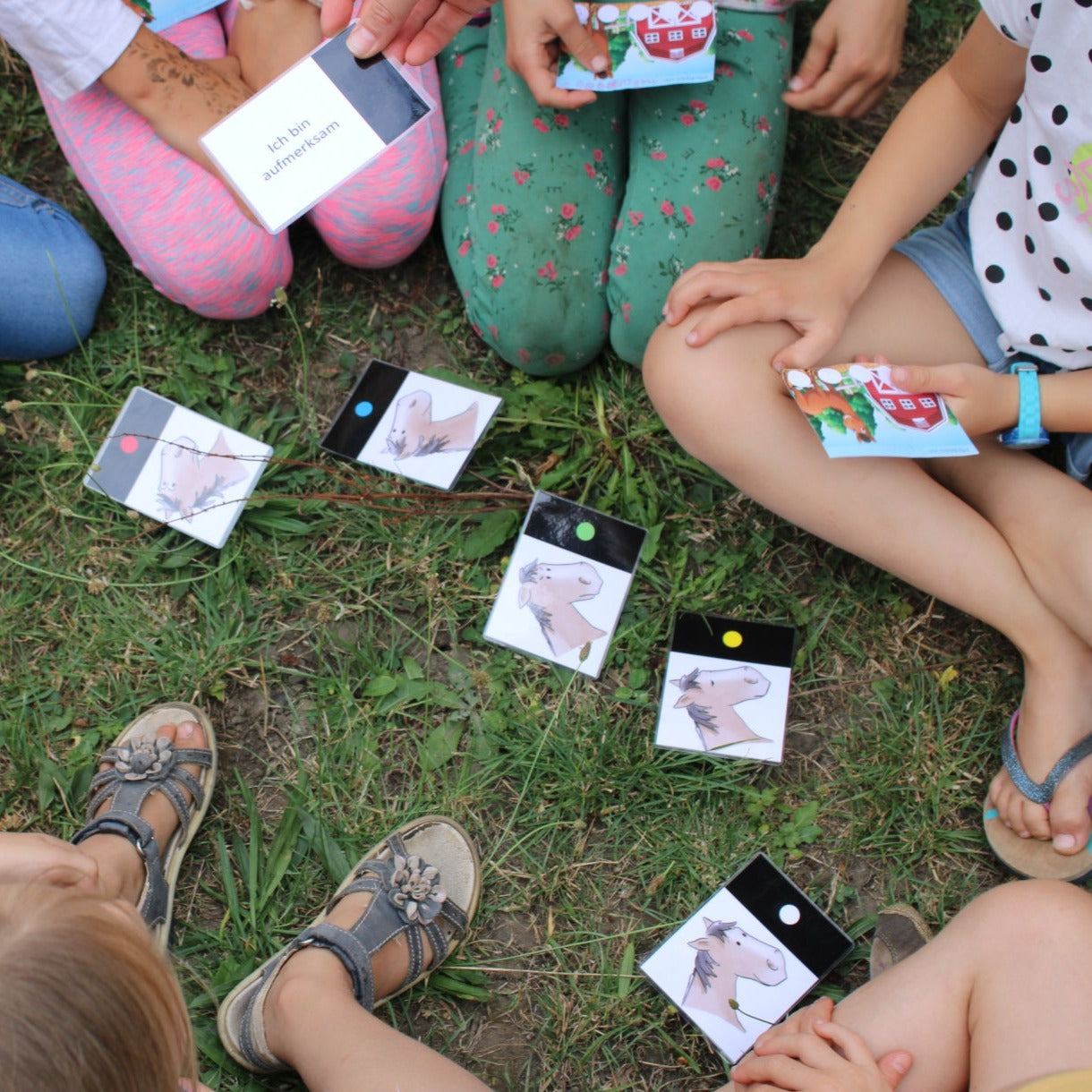 Auf einem Kindergeburtstag mit dem Pferdespaß lernen die Kinder die Pferdesprache