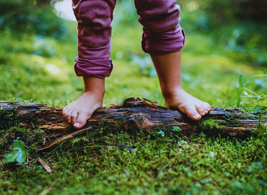 DIY-Dein Sinnesabenteuer