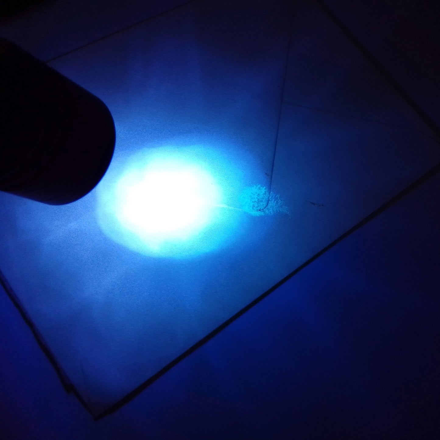 Auf der Jagd nach Fingerabdrücken! Die Kids machen sich mit einer UV Lampe auf die Suche nach Spuren.